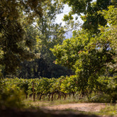 Visite guidée  "La Balade Verte"